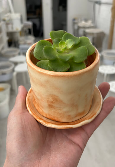 Ceramic Painting Class: Planter
