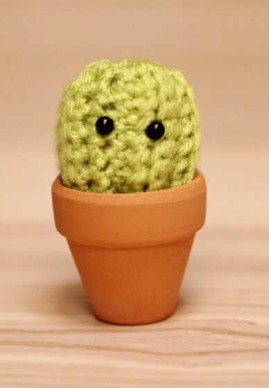 Crochet Class: Amigurumi Mini Cactus