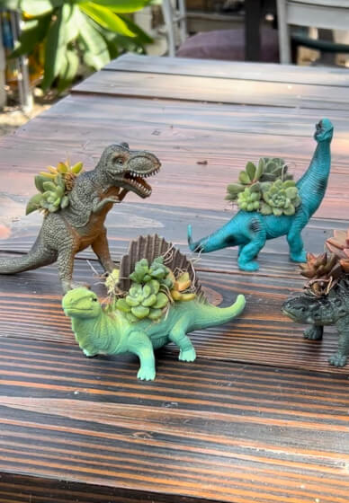 Dinosaur Succulent Workshop