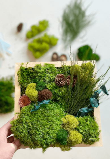 Moss Wall Art DIY Kit By Euflora – Plant World Botanics