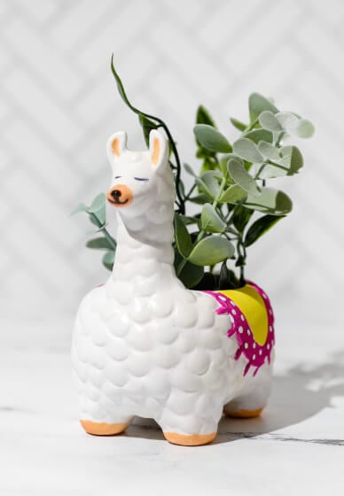 Learn Ceramic Painting: Llama with Succulent Plant