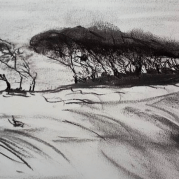 How to Draw a simple Landscape - Easy Pencil Drawing 