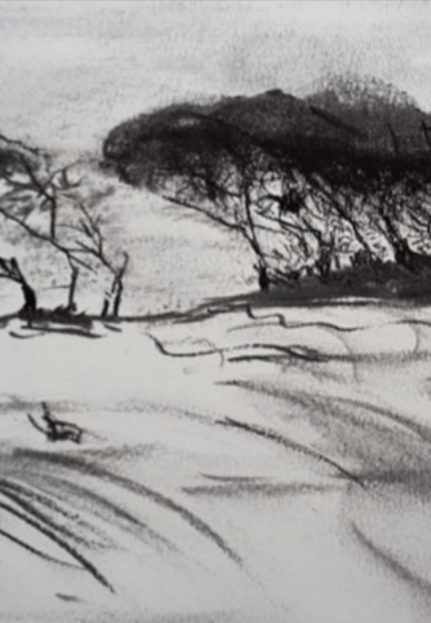 How to Draw with Charcoal Pencils - Landscape Sketching 