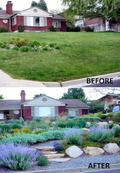 Learn Xeriscaping: Water-Efficient Landscaping
