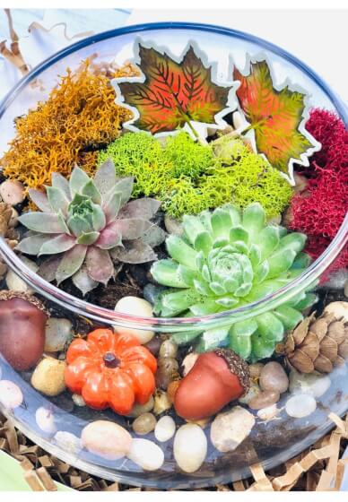 Make a Fall Succulent Terrarium at Home