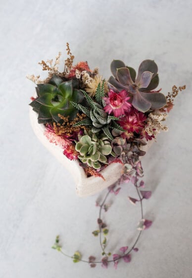 Make a Heart-Shaped Succulent Arrangement at Home