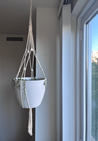 Make a Macrame Plant Hanger