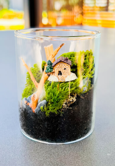 The Urban Nemophilist - Miniature moss wall terrarium #terrarium #terrariums  #terrariumlove #nature #bottlegarden #plants #indoorgardening #gardening # moss #diy #greenproject #miniatureterrarium #miniatures #forest #instagood
