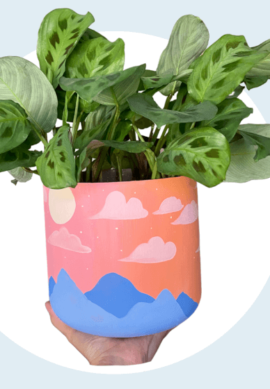 Make a Painted Ombré Planter Pot