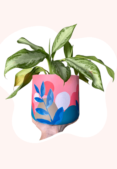Make a Painted Planter Pot