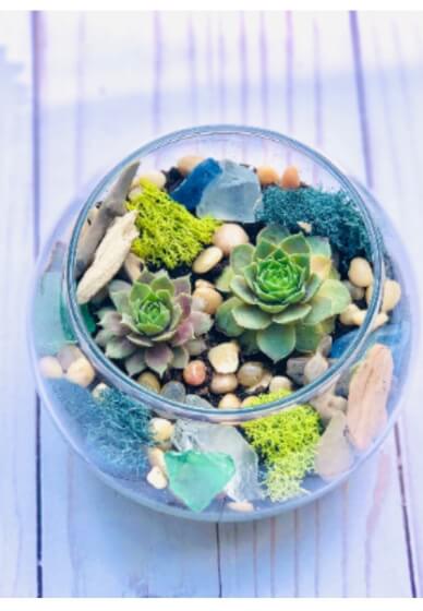 Make a Sea Glass Terrarium at Home