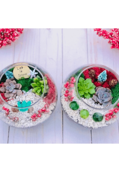 Make a Winter Succulent Terrarium at Home