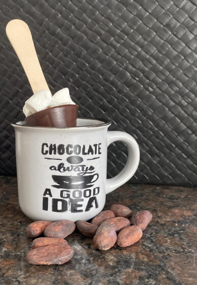 Make Chocolate at Home: Hot Chocolate on a Stick