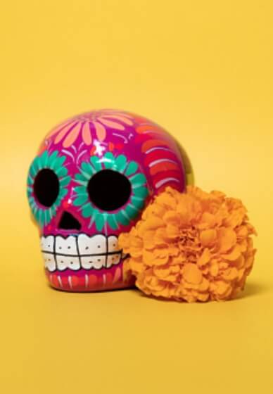 Paint a Day of the Dead Inspired Skull