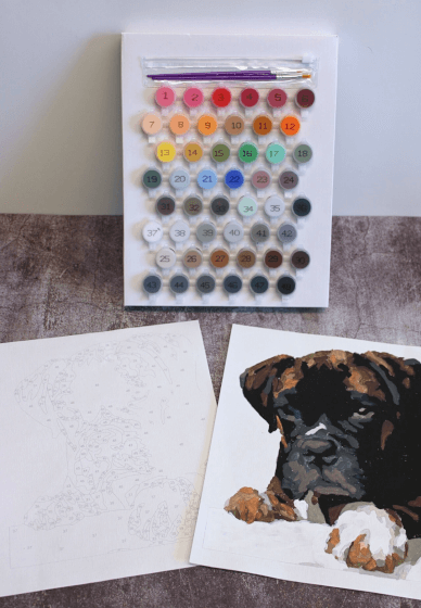 Paint Your Pet Workshop