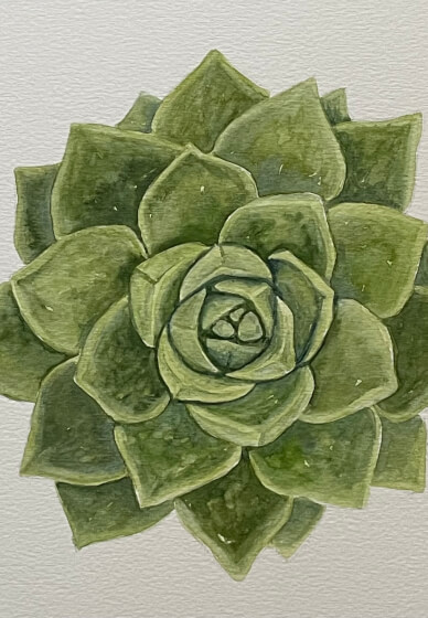 Succulents Watercolor Workshop