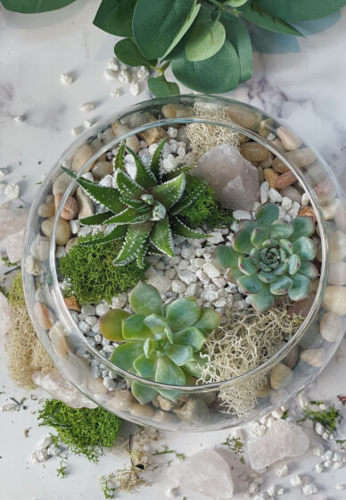 Zwitsers bemanning Grace Terrarium Making at Home | Online class & kit | Gifts | ClassBento