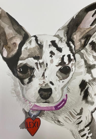 Watercolor Paint Your Pet at Home