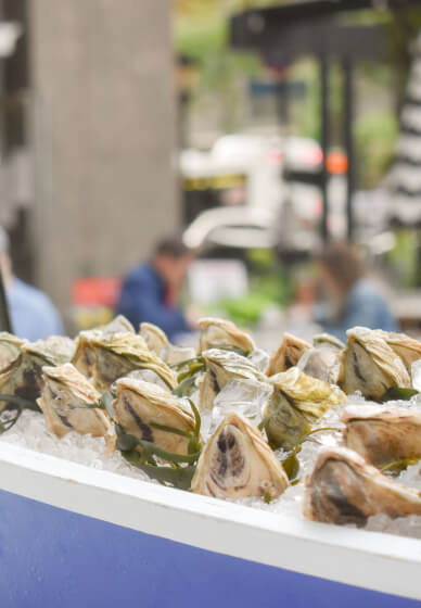 Wine Tasting and Oysters: Sip & Shuck