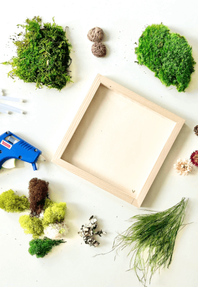 Moss Wall Art Kit, DIY Kits
