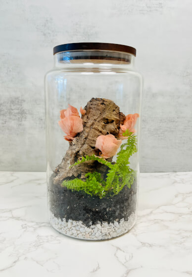 DIY Mushroom Storage Jar