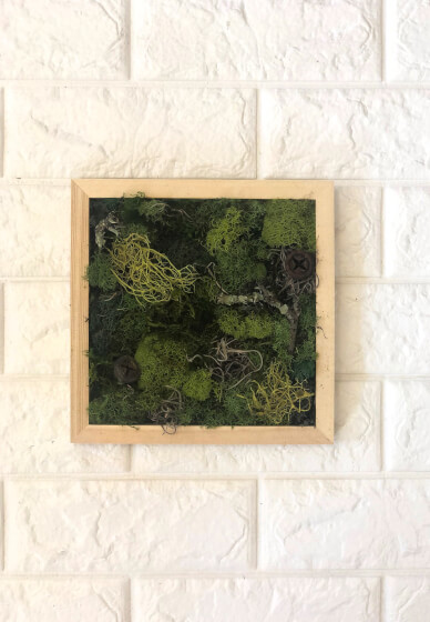Preserved Moss Frame Class Houston, Gifts